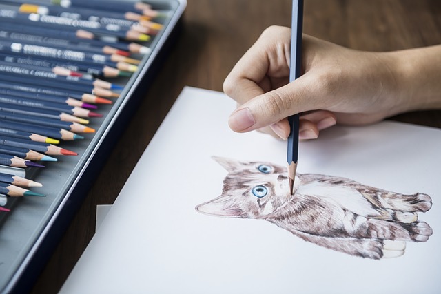 pencil shading techniques on cat